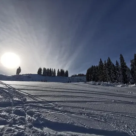 Апартаменты Adrowitzer Лофер