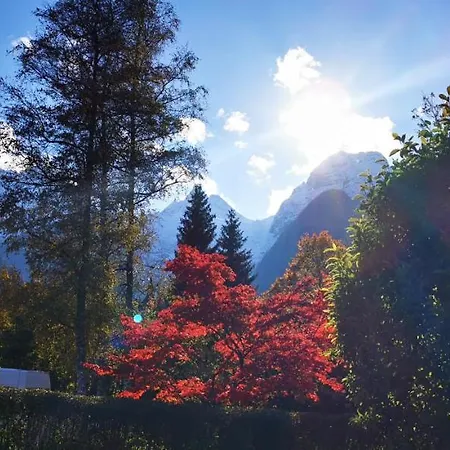 Апартаменты Adrowitzer *