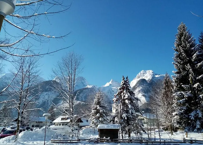 アパート Adrowitzer *